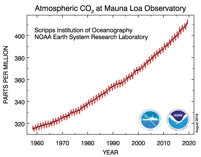 Graph of Atmospheric Carbon Dioxide at Mauna Loa Observatory