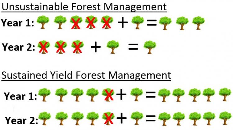 Unsustainable vs sustainable forest management. See link in caption for details.