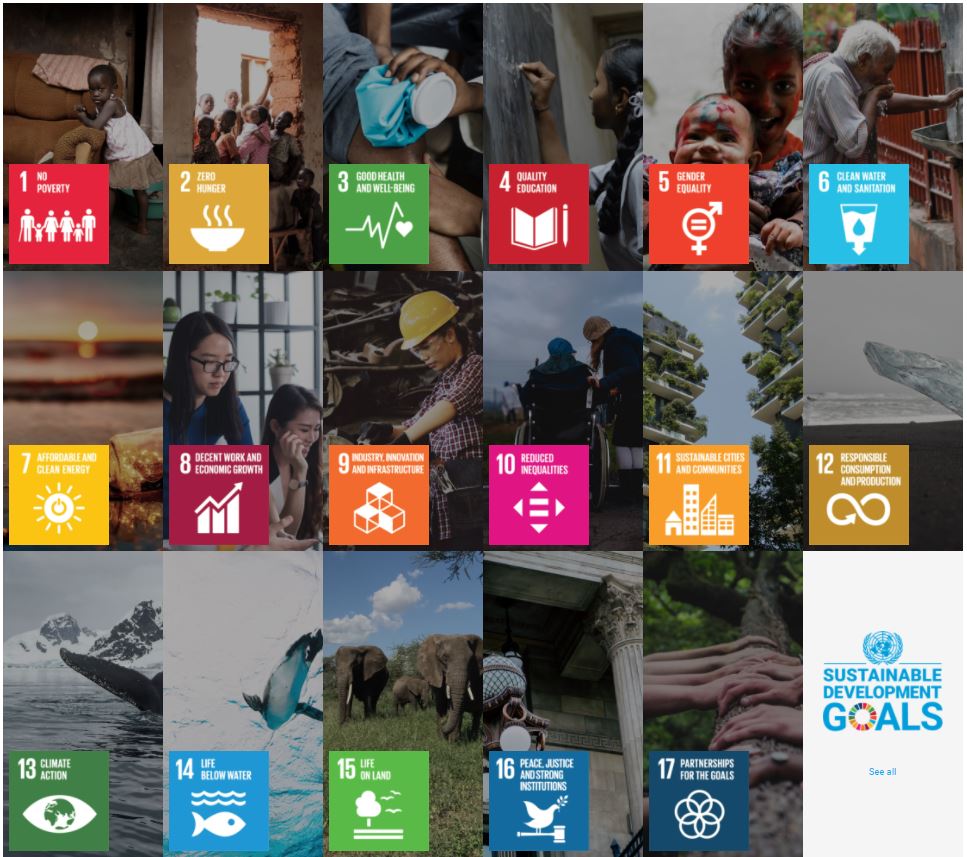 graphic depicting the 17 sustainable development goals; the goals are listed in the text above the image.