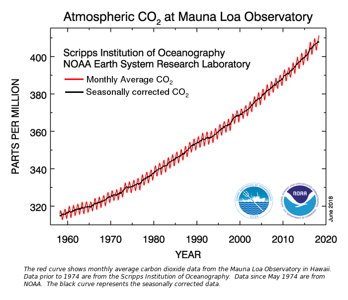 Graph of Atmospheric Carbon Dioxide at Mauna Loa Observatory