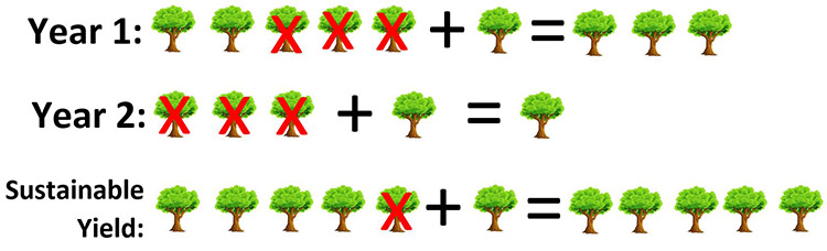 Illustration showing that if you cut 1 out of 5 trees down and 1 grows back, you have 5 trees left, which can be sustained over time.