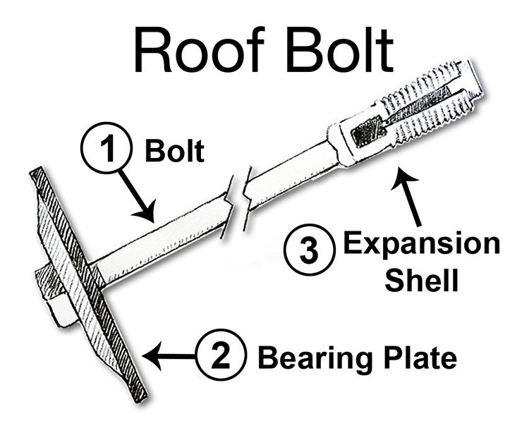 Image of a roof bolt showing bearing plate at one end of the bolt and an expansion shell at the other.