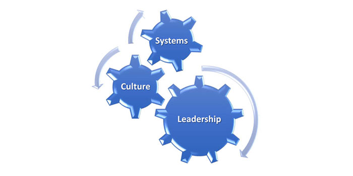 Gears working together: Systems, Culture, and Leadership