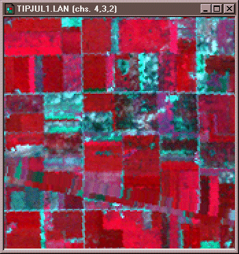 Landsat TM scene in July 17,1986 of agricultural fields in Tippecanoe County, IN. More in surrounding text. 