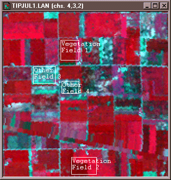 Training fields defined for two classes of land cover: vegetation & other. More in surrounding text. 