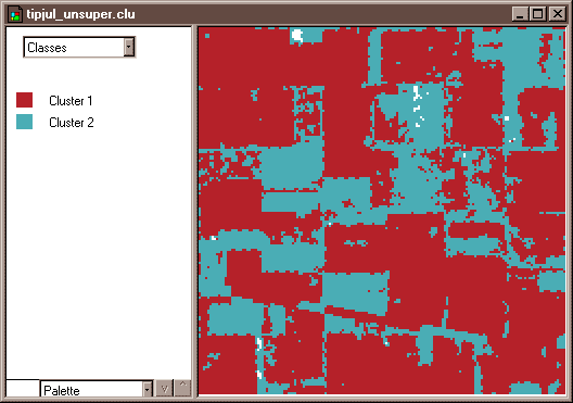 Two-class land cover map produced by unsupervised classification of Landsat TM data. More in surrounding text. 