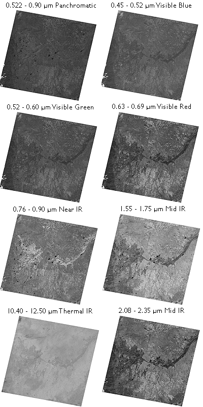 Eight individual bands from a Landsat TM image.