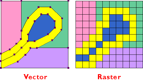 Buffer zones surround vector (lines) and raster (grid) representations of a pond and stream.