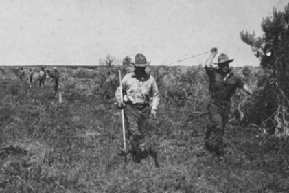 Surveying team in field, measuring baseline distance with a metal tape.