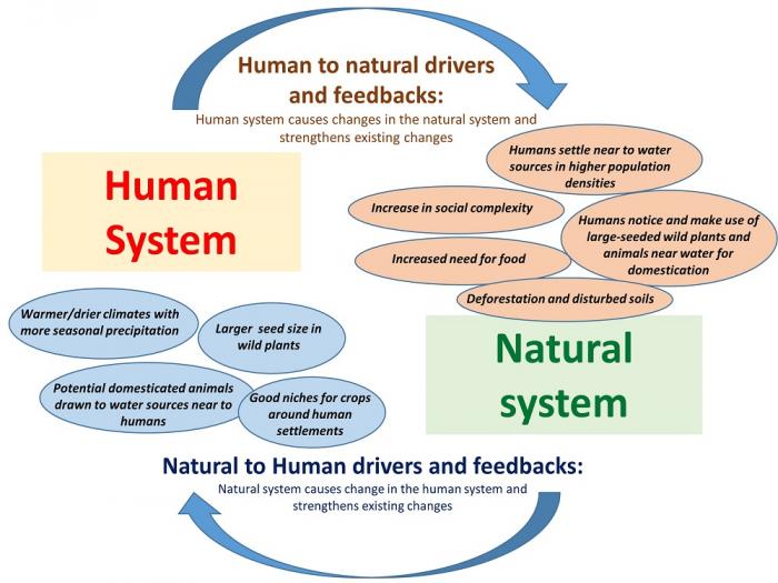 human and natural system drivers of domestication, see image caption and text description in link below
