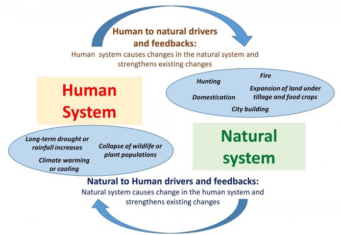 General Diagram of Coupled Natural-Human Systems (CNHS) illustrating potential drivers and feedback processes, see image caption and text description in link below