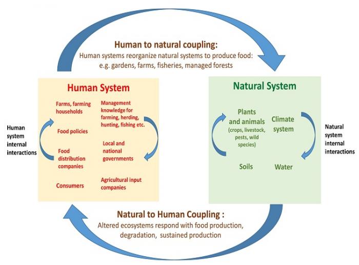 Schematic of a food system as a Coupled Human-Natural System, see text description in link below