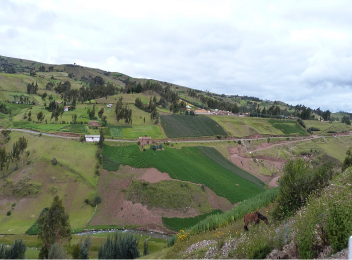 Peruvian landscape of rolling hills