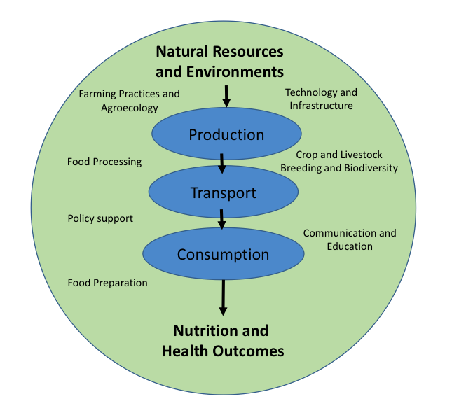 Simplified diagram of food system, see text description in link below