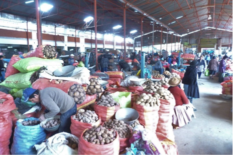 Potatoes in market of Central Andes of Peru