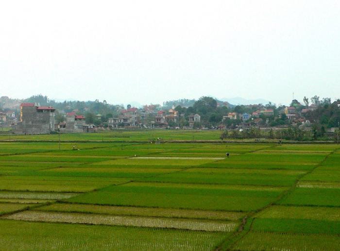 Rice-growing landscape, Vietnam. Rice-growing landscape, Vietnam. This photo illustrates the intensive interactions that exist between human habitation and farming communities in the background and food production which occupies the entire foreground.