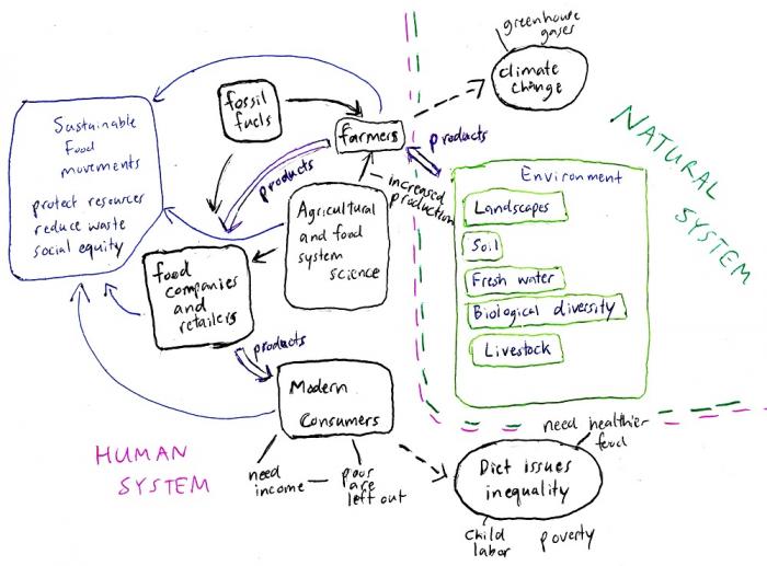 Sketch of a concept map using lines and color to divide different topics. See caption for additional information