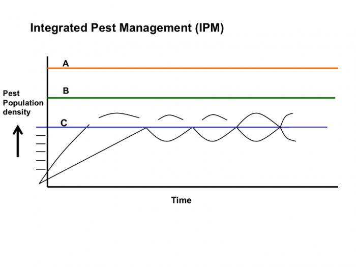IPM graph showing the pest population density over time