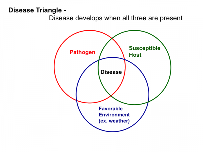 Disease develops when all three are present: pathogen, susceptible host, and favorable enviroment.