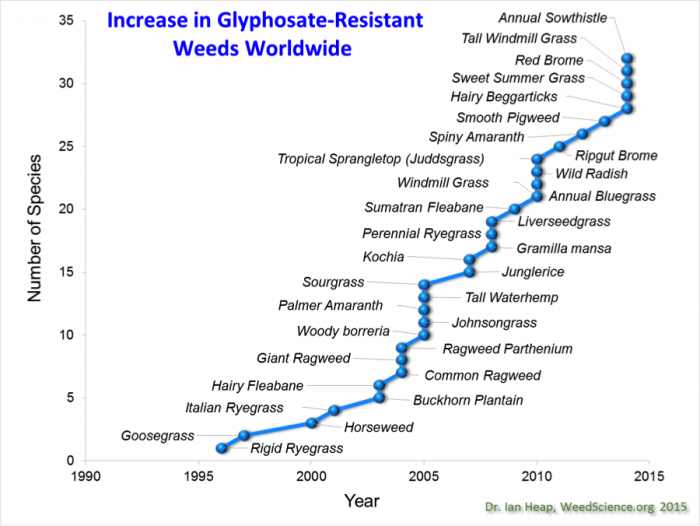 The increase in number of species from 1990 to 2015.