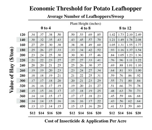 Economic Threshold for Potato Leafhopper