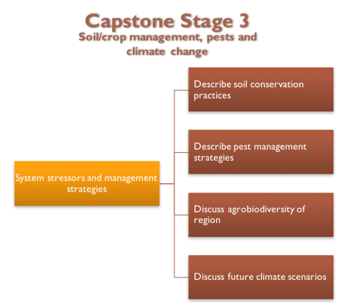 Capstone Stage 3 Diagram. See link in caption for text description