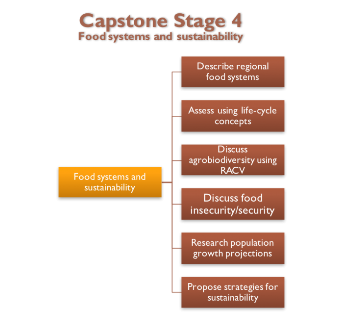 Capstone Stage 4 Diagram. See link in caption for text description