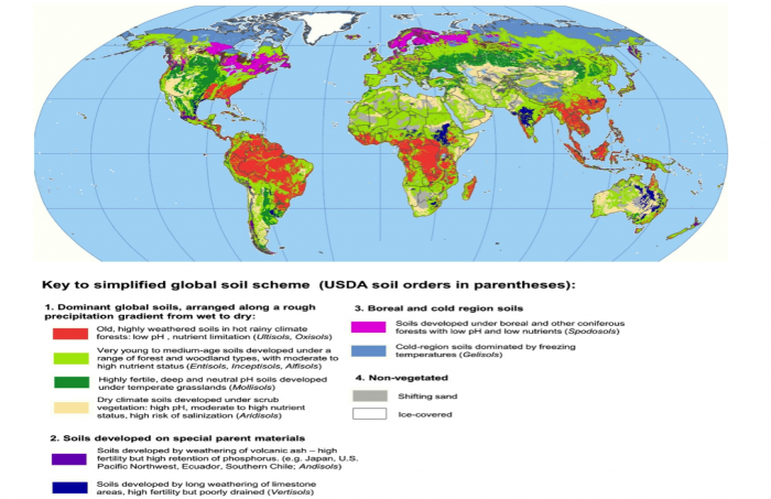 Soil types in different parts of the world. See more details below.