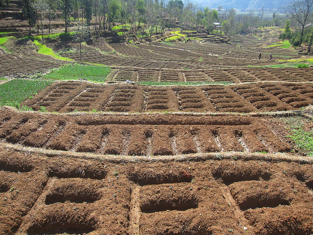 terrace irrigation