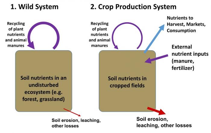 Wild and crop production systems. See text above for more details.