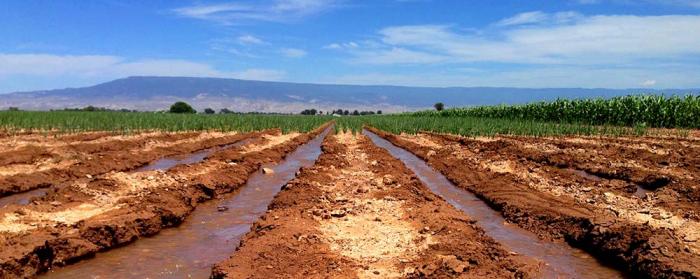 furrow irrigation system