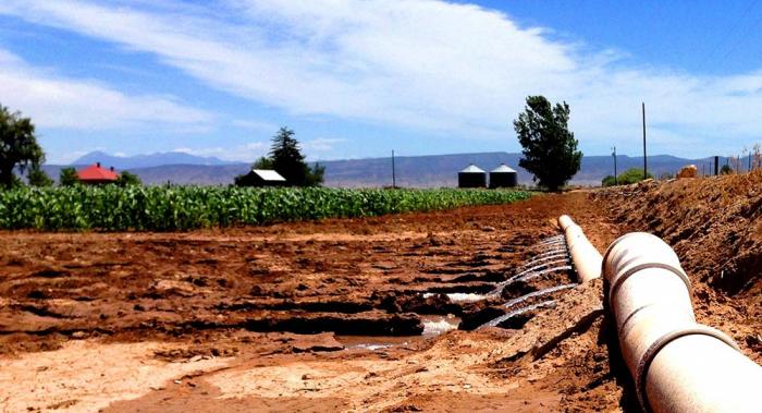 Furrow irrigation of an onion field in the Uncompahgre Valley, CO.