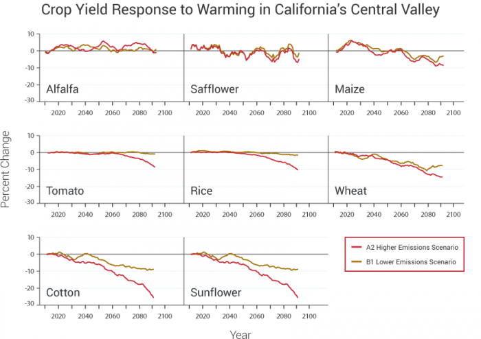 Crop Yield Response to Warming in California’s Central Valley illustrating potential impacts on different crops within the same geographic region for low and high emissions scenarios assuming adequate water supplies and  nutrients while temperatures are increased.  The lines show five-year moving averages for the period from 2010 to 2094, with the yield changes shown as differences from the year 2009. 