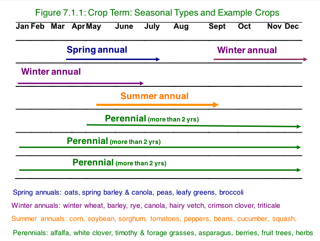 Figure 7.1.1 Crop Terms: Spring, Winter, Summer, and Perennial