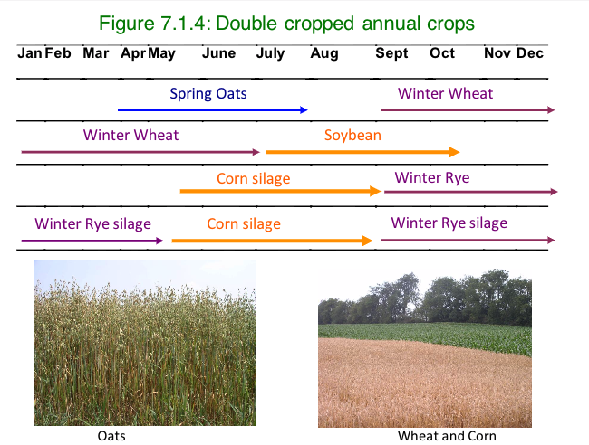 Figure 7.1.4 double cropped annual crops