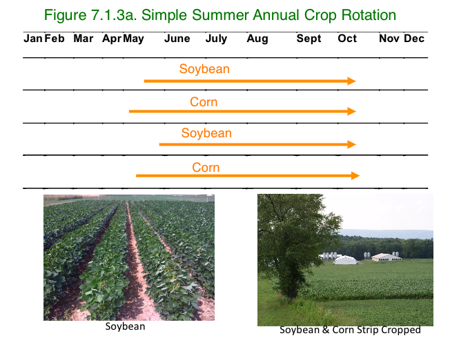 Figure 7.1.3a Simple Summer Annual Crop Rotation (corn and soybeans)