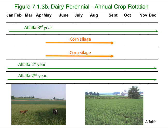 Figure 7.1.3b Dairy perennial Annual Crop Rotation (corn silage and alfalfa)