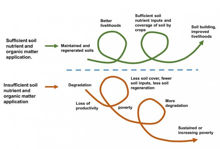 Concept of downward or vicious cycle, see image caption