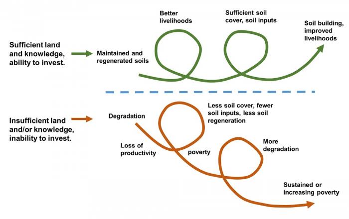 Spirals of soil regeneration and improved livelihoods, see image caption