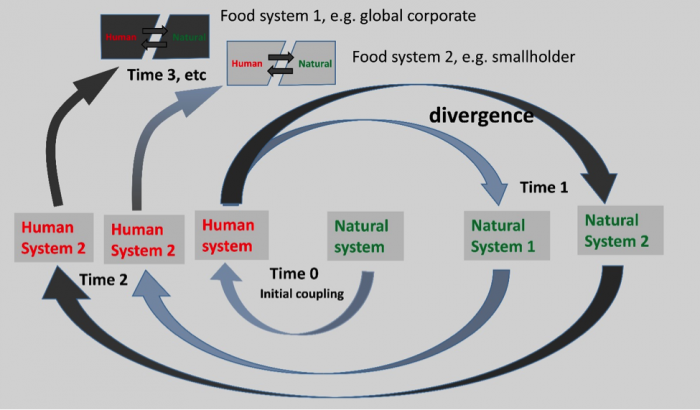 Divergence of the process of coupled natural system development. More info in text above and text description.