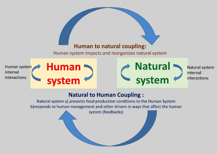 A generic natural-human system that can be applied to the food system in its interactions with earth system processes. See link in caption for text description