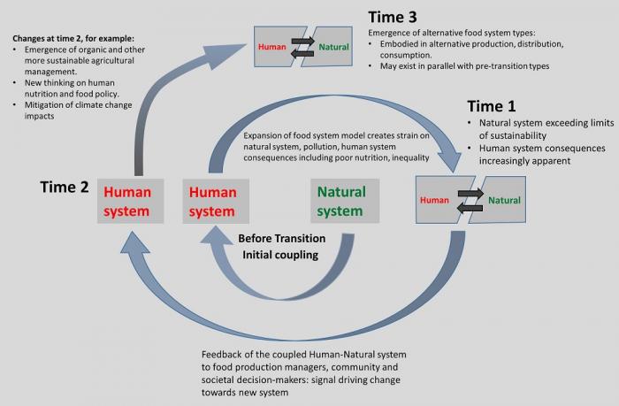 Feedback of the coupled human-natural system to food production managers, community and societal decision makers