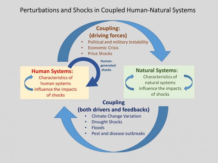 CHNS - basic depiction of perturbations and shocks, see image caption