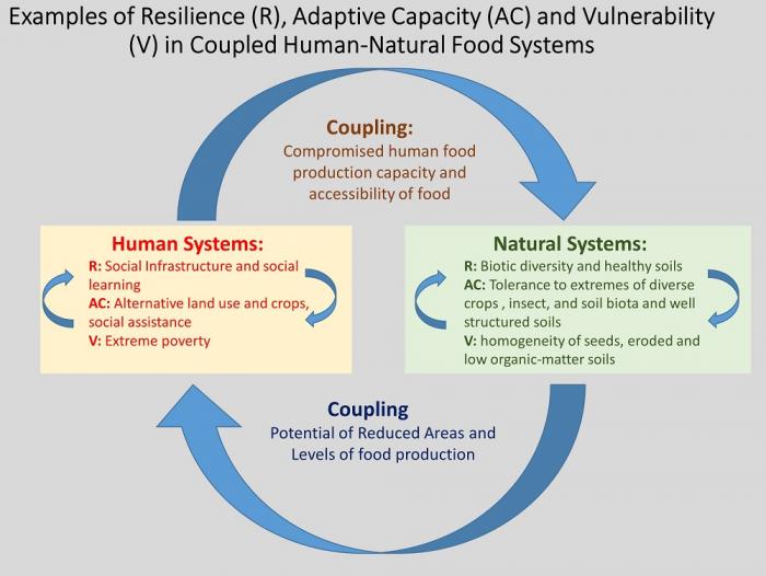 Examples of Resilience (R), Adaptive Capacity (AC), and Vulnerability (V). See link in caption for text description
