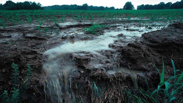Soil erosion in an agricultural field