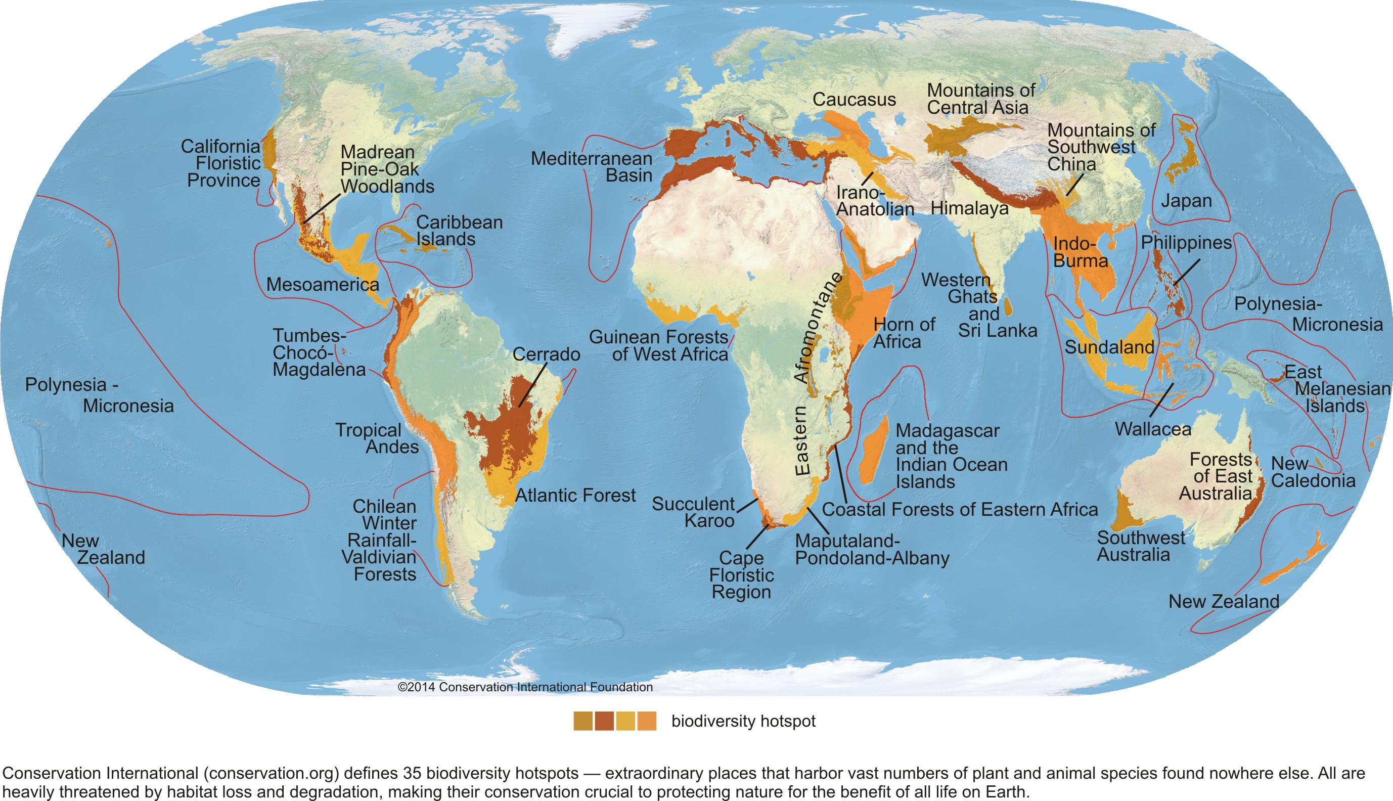 map biodiversity hotspots        <h3 class=