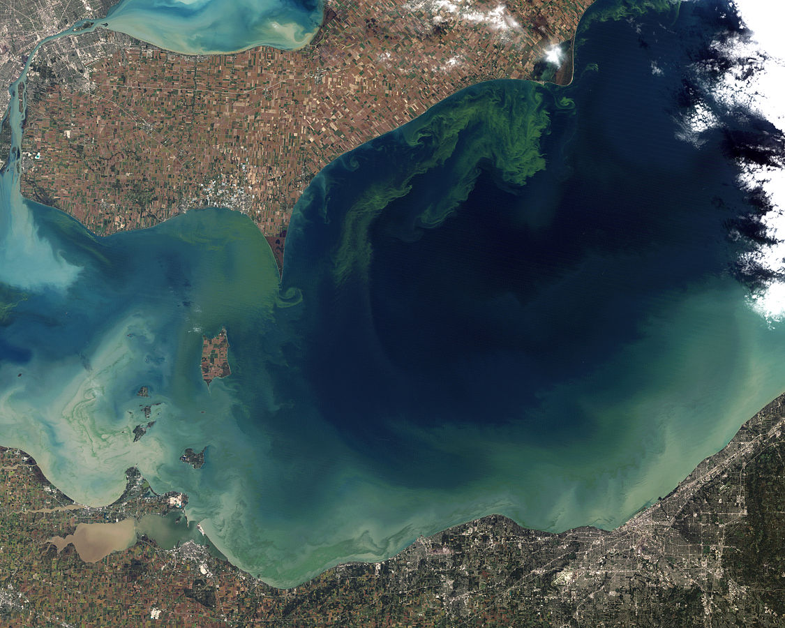 Industrial Agriculture GEOG 30N Environment and Society in a