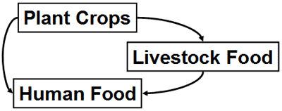 Diagram starting with box titled plant crops leading to 2 boxes titled livestock food and human. The livestock food box leads to human food
