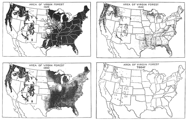 Maps depicting areas of virgin forest in the US at several times in history. Decreasing virgin forests over time.