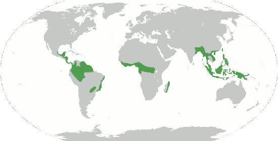 Case Study The Amazon Rainforest Geog 30n Environment And Society In A Changing World